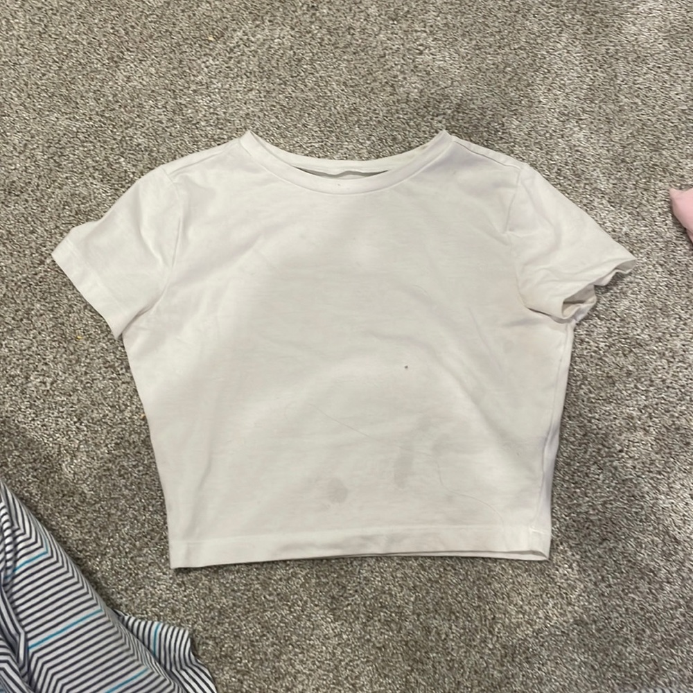 Wild Fable cropped t-shirt